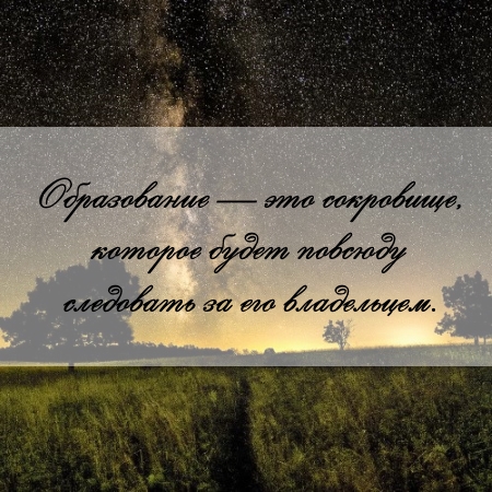 цитата об образовании и сочинении